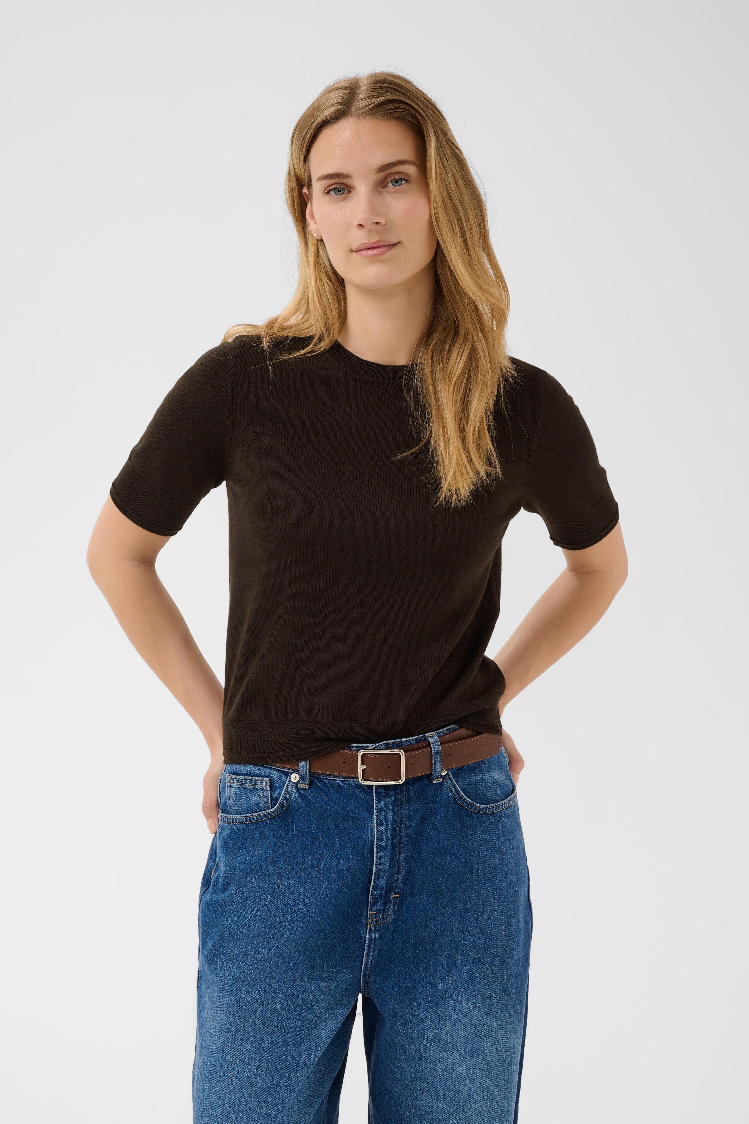 Part Two NatanyaPW short-sleeve 100% fine wool knit pullover in mole taupe brown with a crew neckline and ribbed trims.