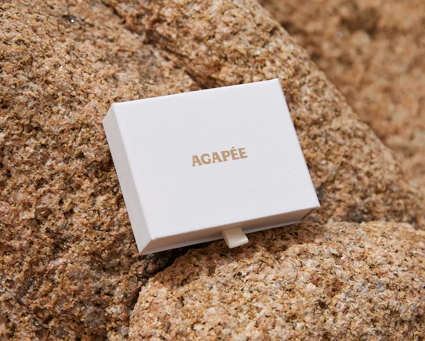 Agapée Almé small gold seashell stud earrings with satin finish