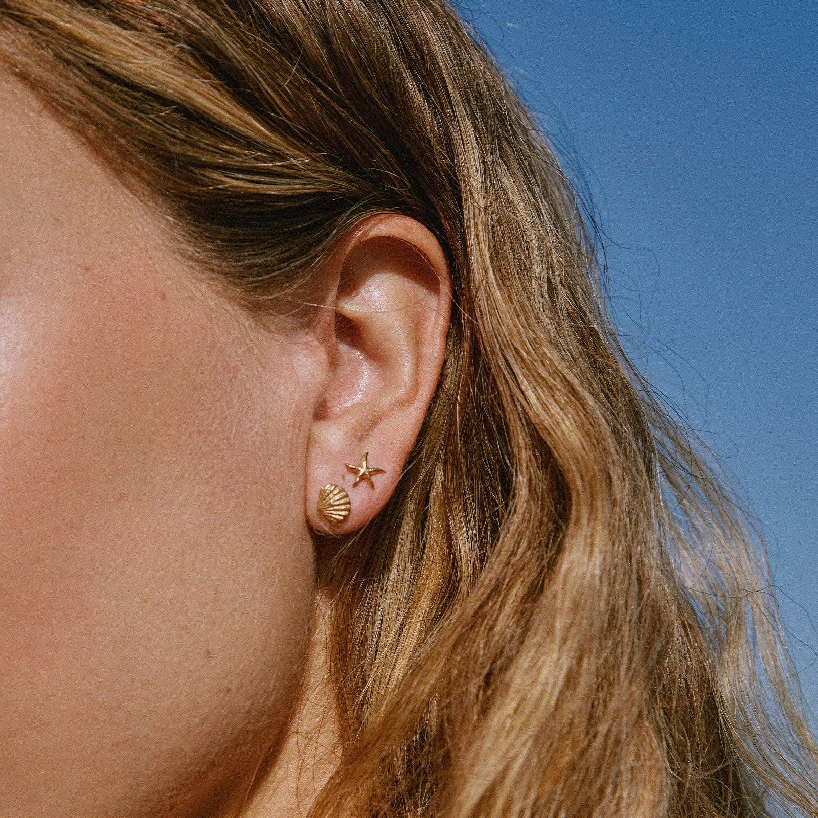 Agapée Almé small gold seashell stud earrings with satin finish