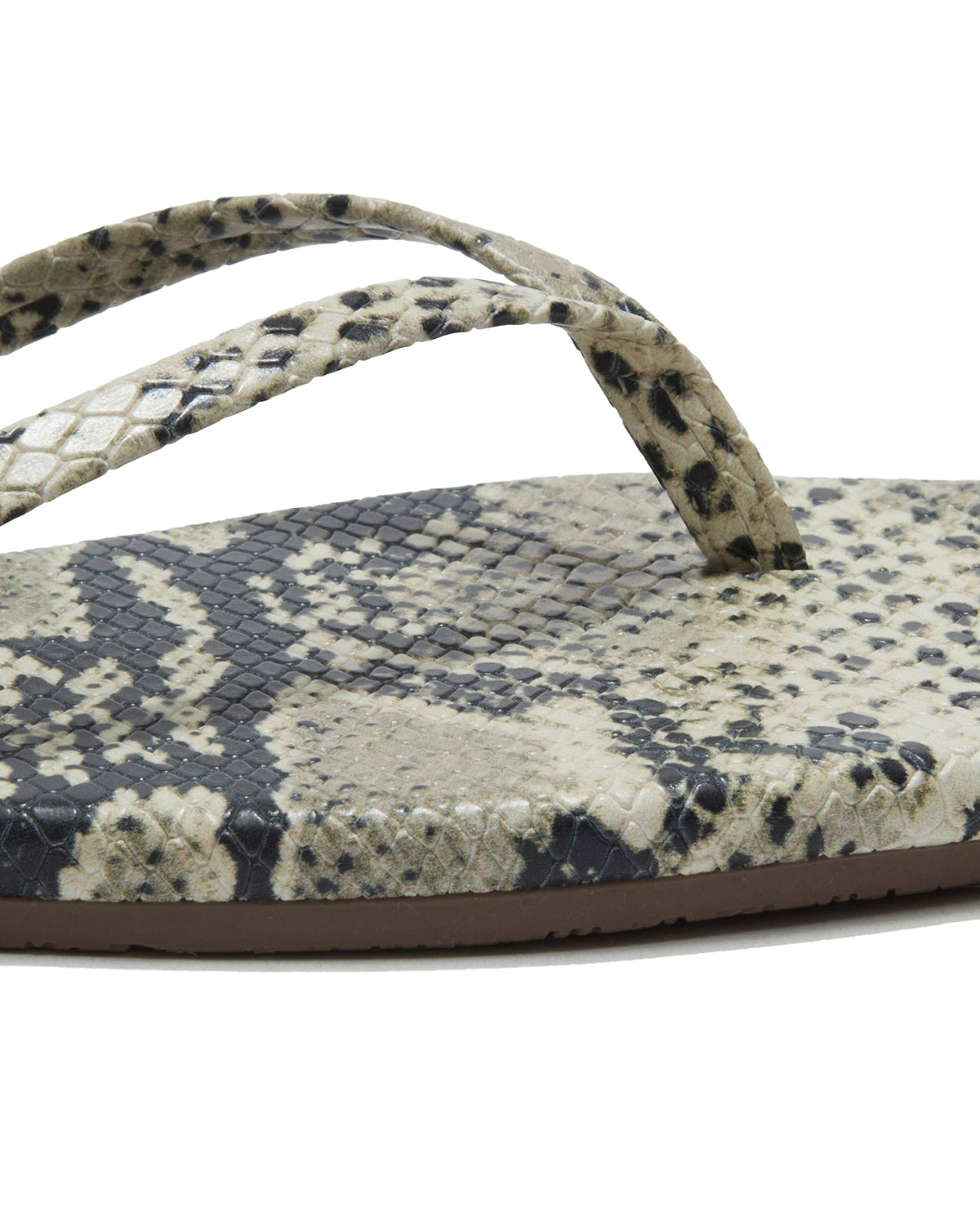 Square Toe Exotics - Sandsnake