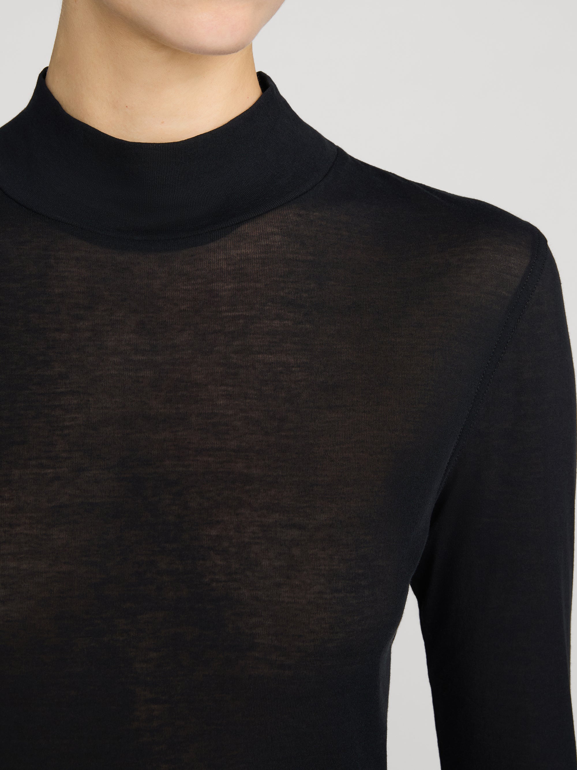 The Sheer Rib Turtleneck - Black